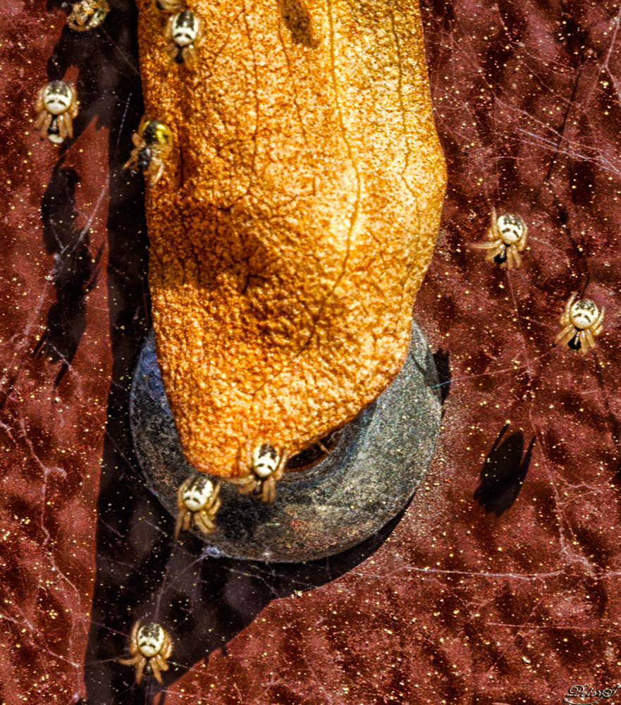 %_tempFileNameIMG_7550%