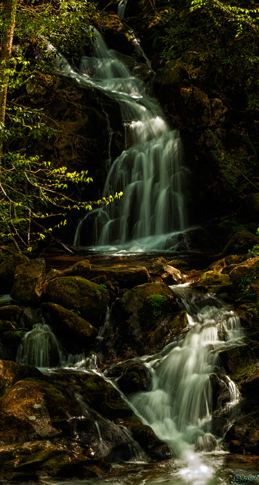 %_tempFileNameIMG_7788%