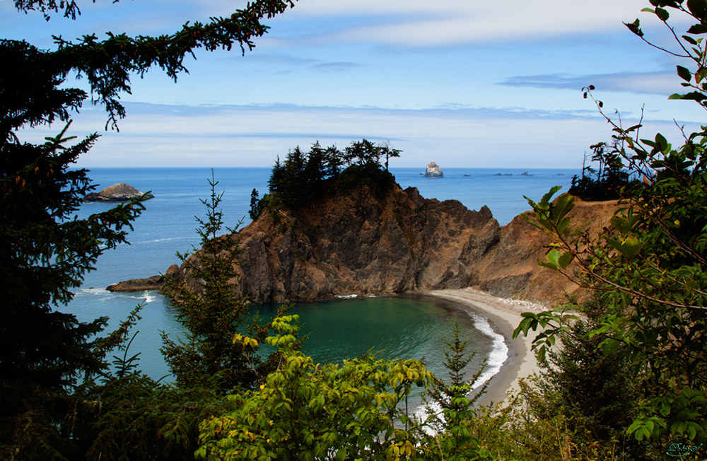 %_tempFileNameIMG_0646%