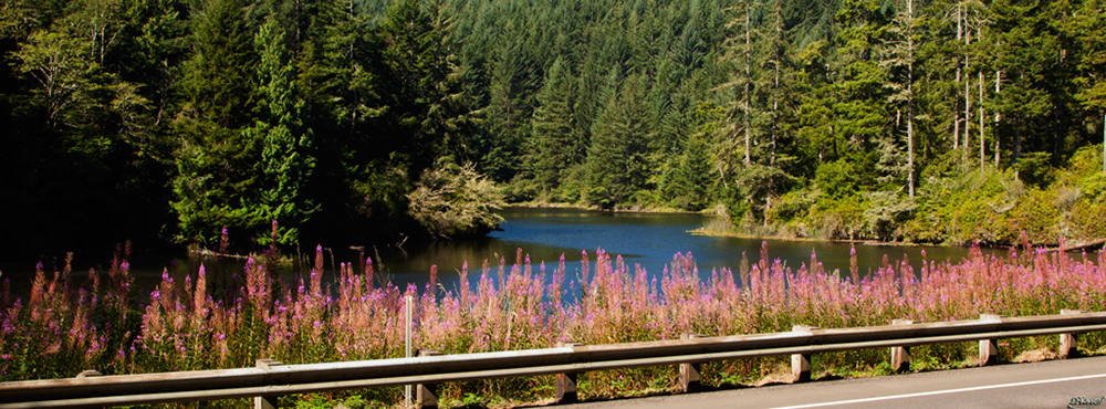 %_tempFileNameIMG_0693%