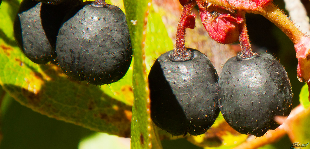 %_tempFileNameIMG_0717%