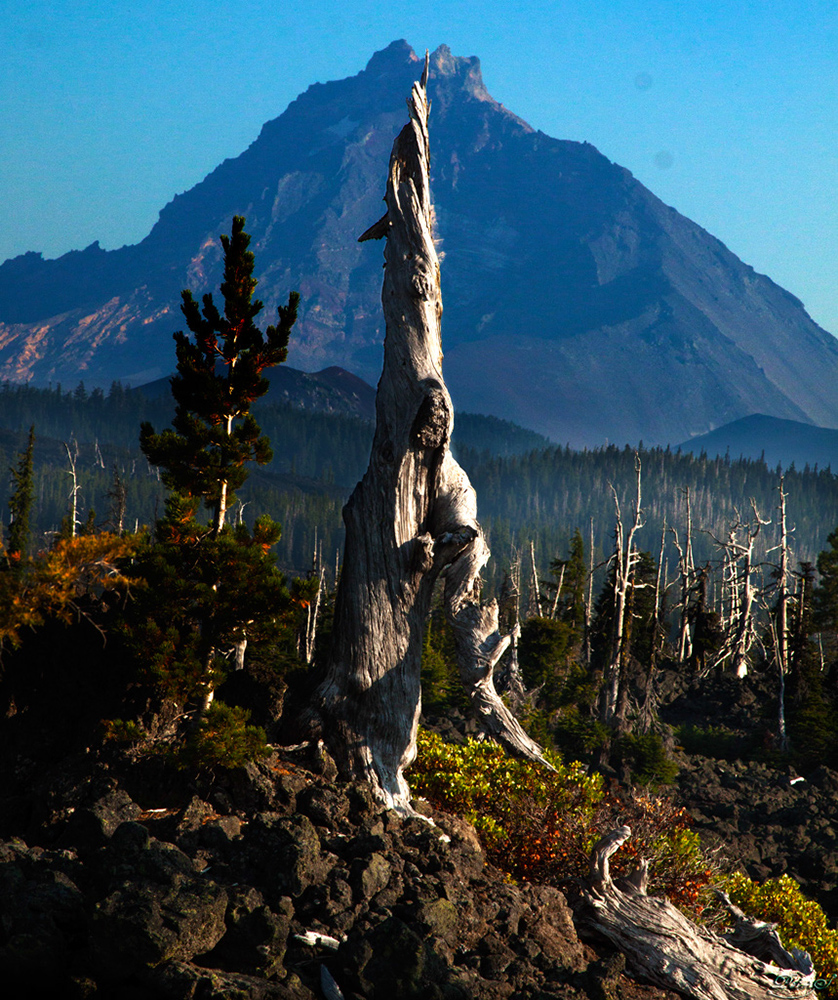 %_tempFileNameIMG_0741%