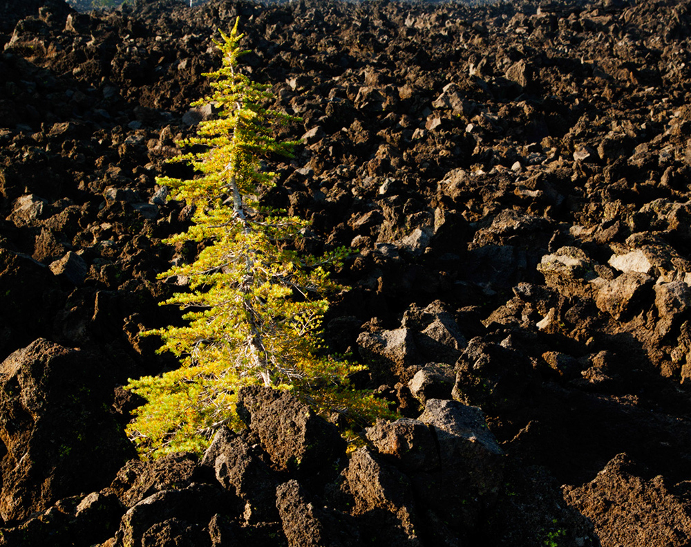 %_tempFileNameIMG_0743%