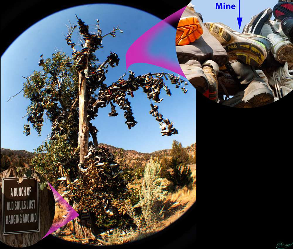 %_tempFileNameIMG_0756%