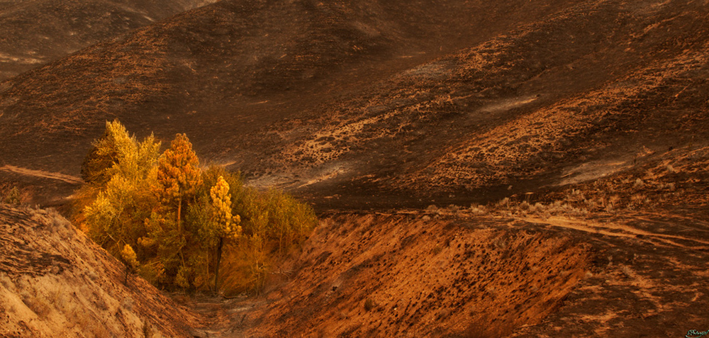 %_tempFileNameIMG_0766%