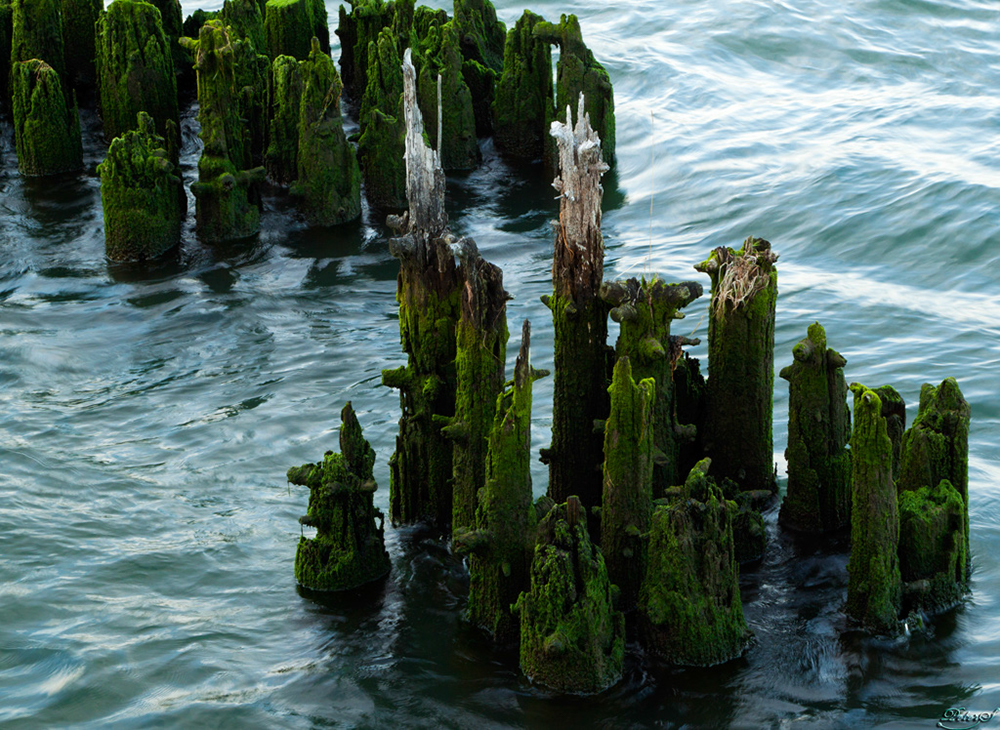 %_tempFileNameIMG_2121%