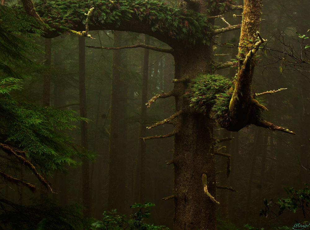 %_tempFileNameIMG_2154%