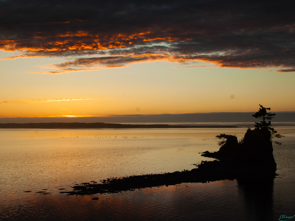 %_tempFileNameIMG_2179%