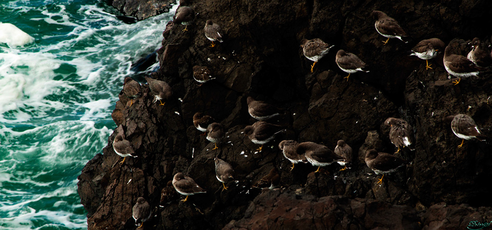 %_tempFileNameIMG_2187%