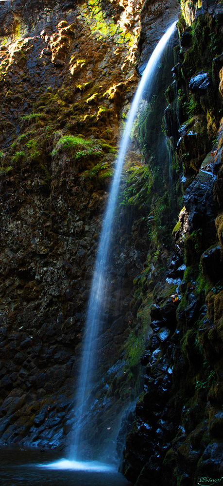 %_tempFileNameIMG_2211%