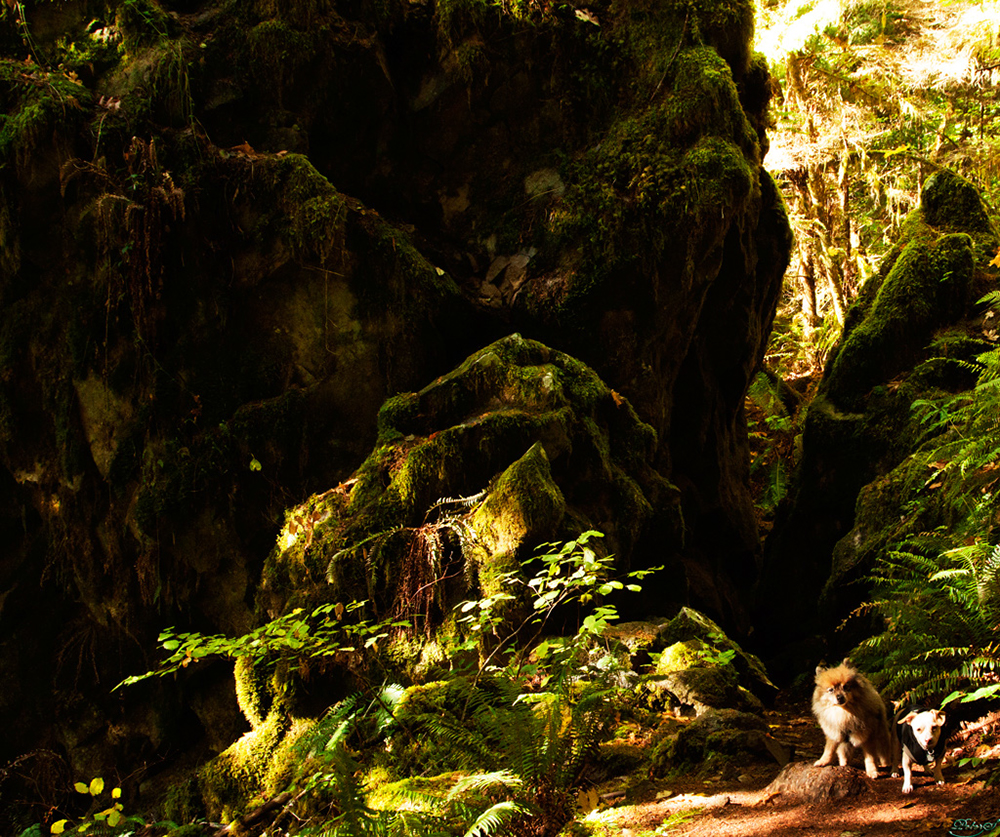 %_tempFileNameIMG_2218%