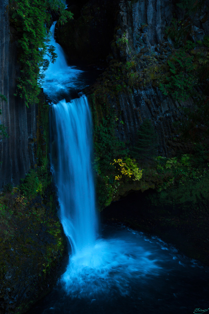 %_tempFileNameIMG_2227%