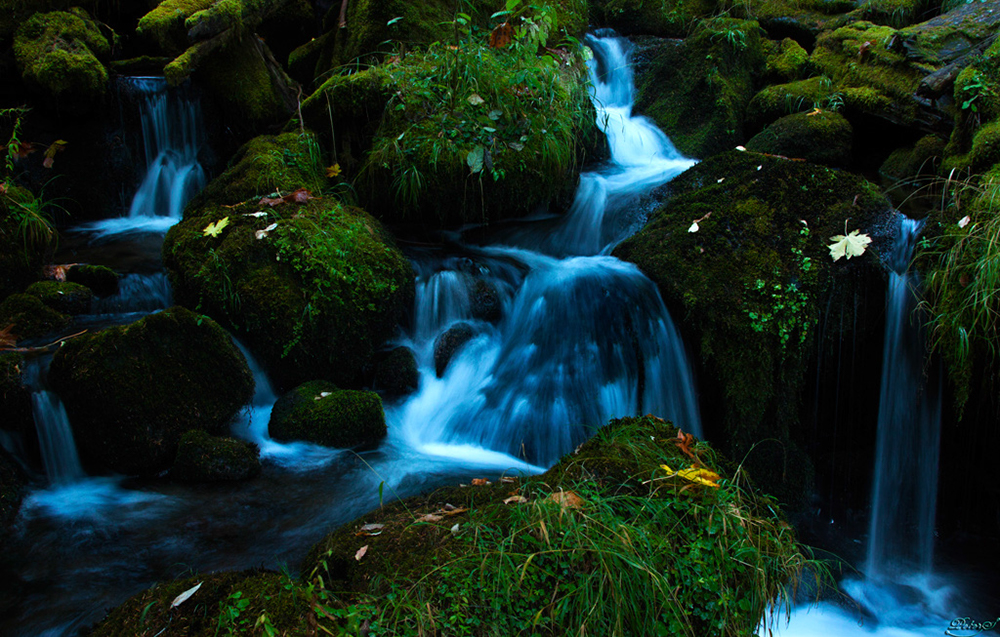 %_tempFileNameIMG_2237%