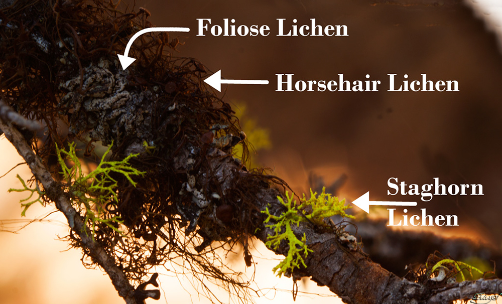 %_tempFileNameIMG_2282%