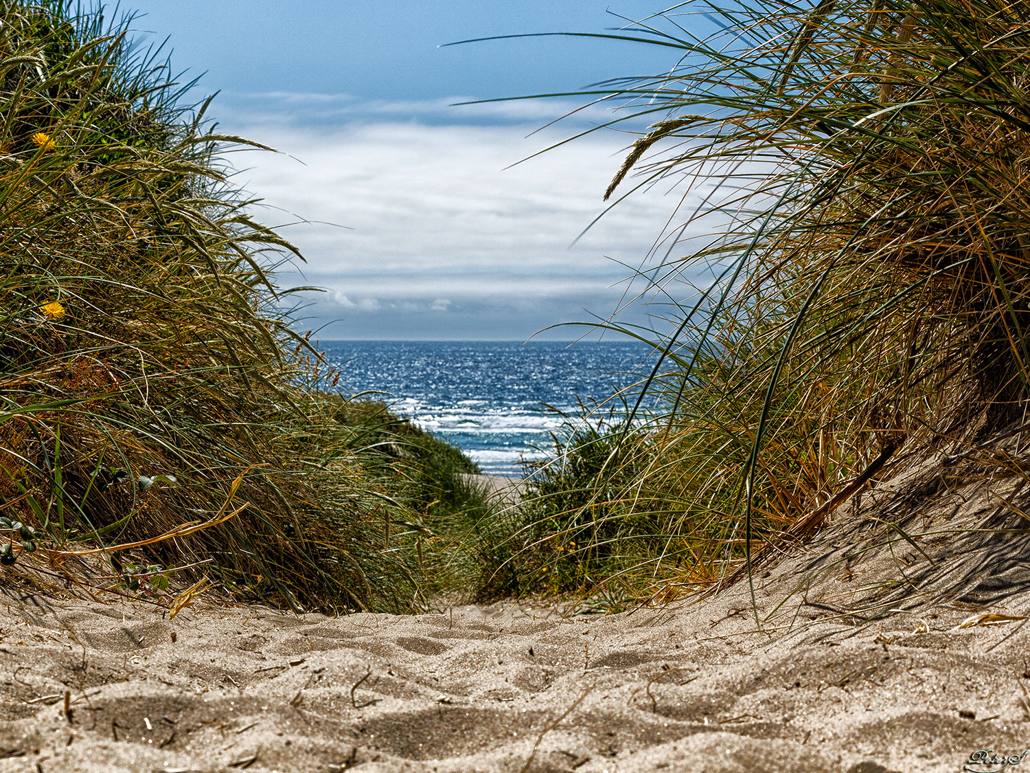 %_tempFileNameIMG_9947%