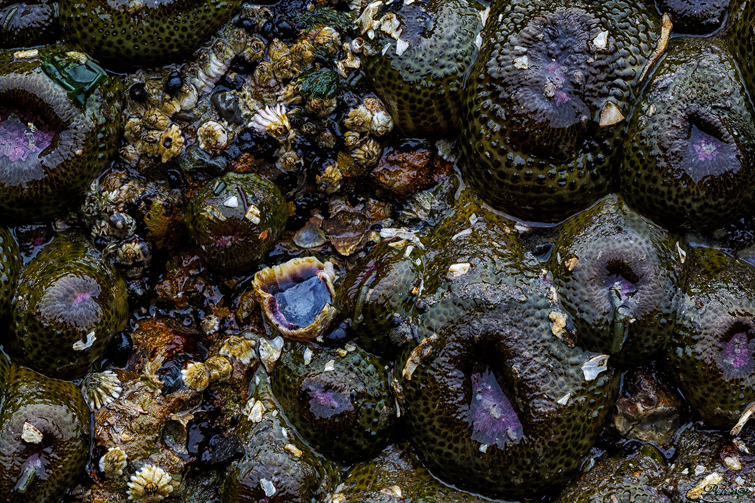 %_tempFileNameIMG_9949%