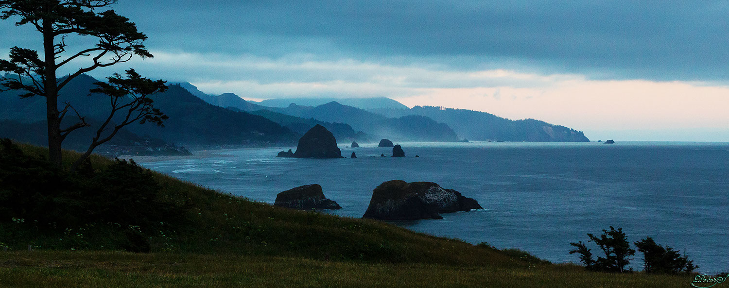 %_tempFileNameIMG_9981%