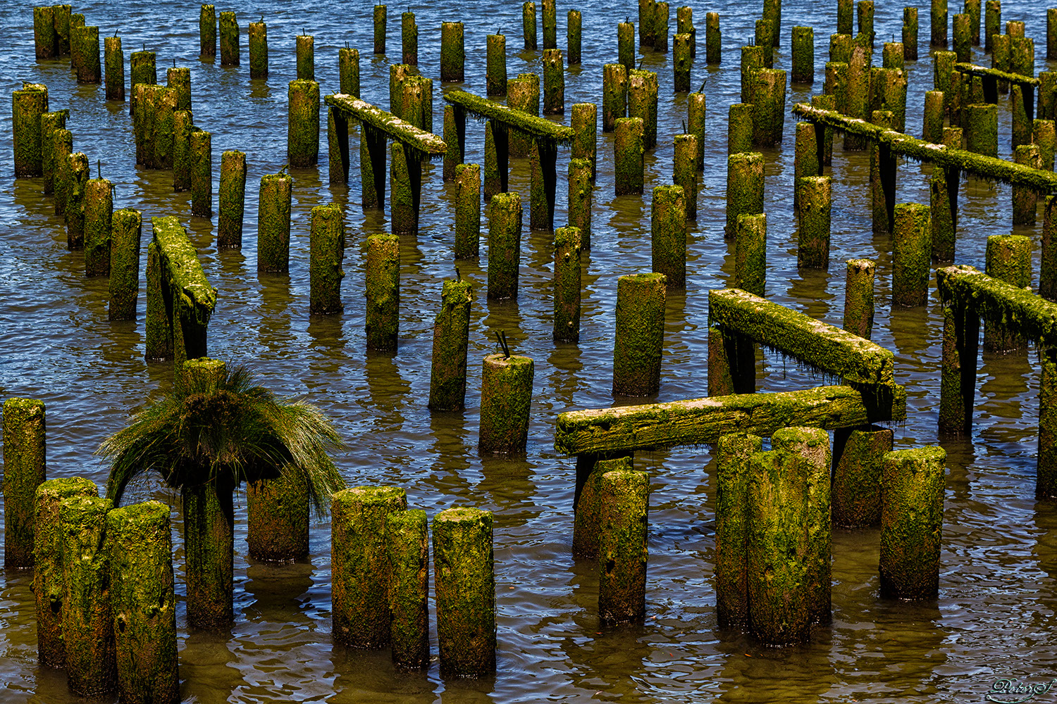 %_tempFileNameIMG_9982%