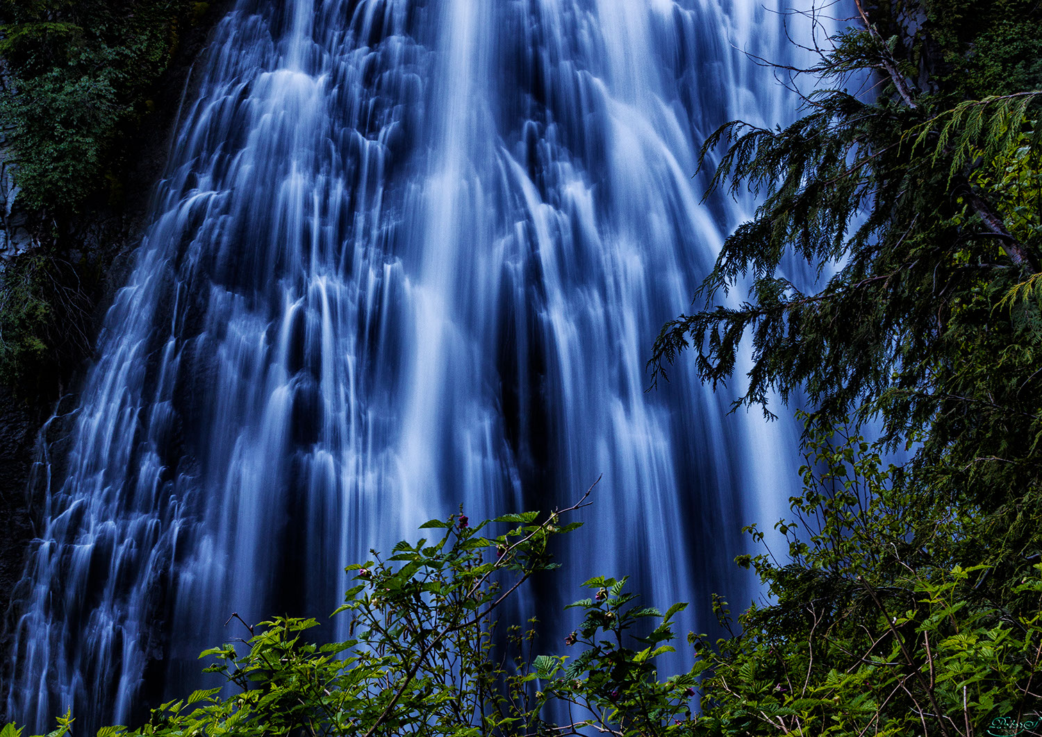 %_tempFileNameIMG_9995%