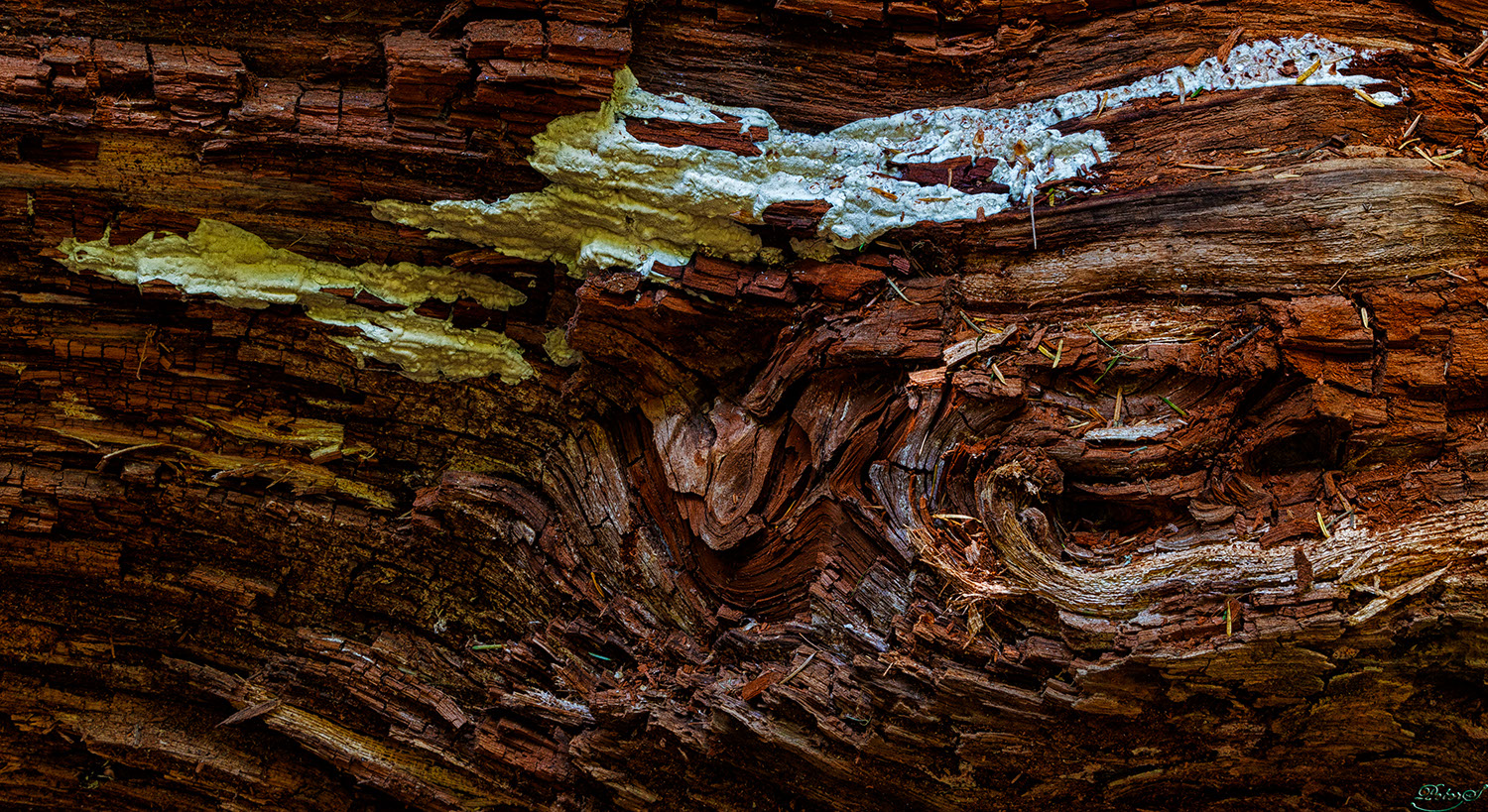 %_tempFileNameIMG_9996%