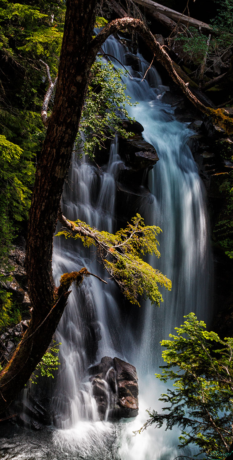 %_tempFileNameIMG_9997%