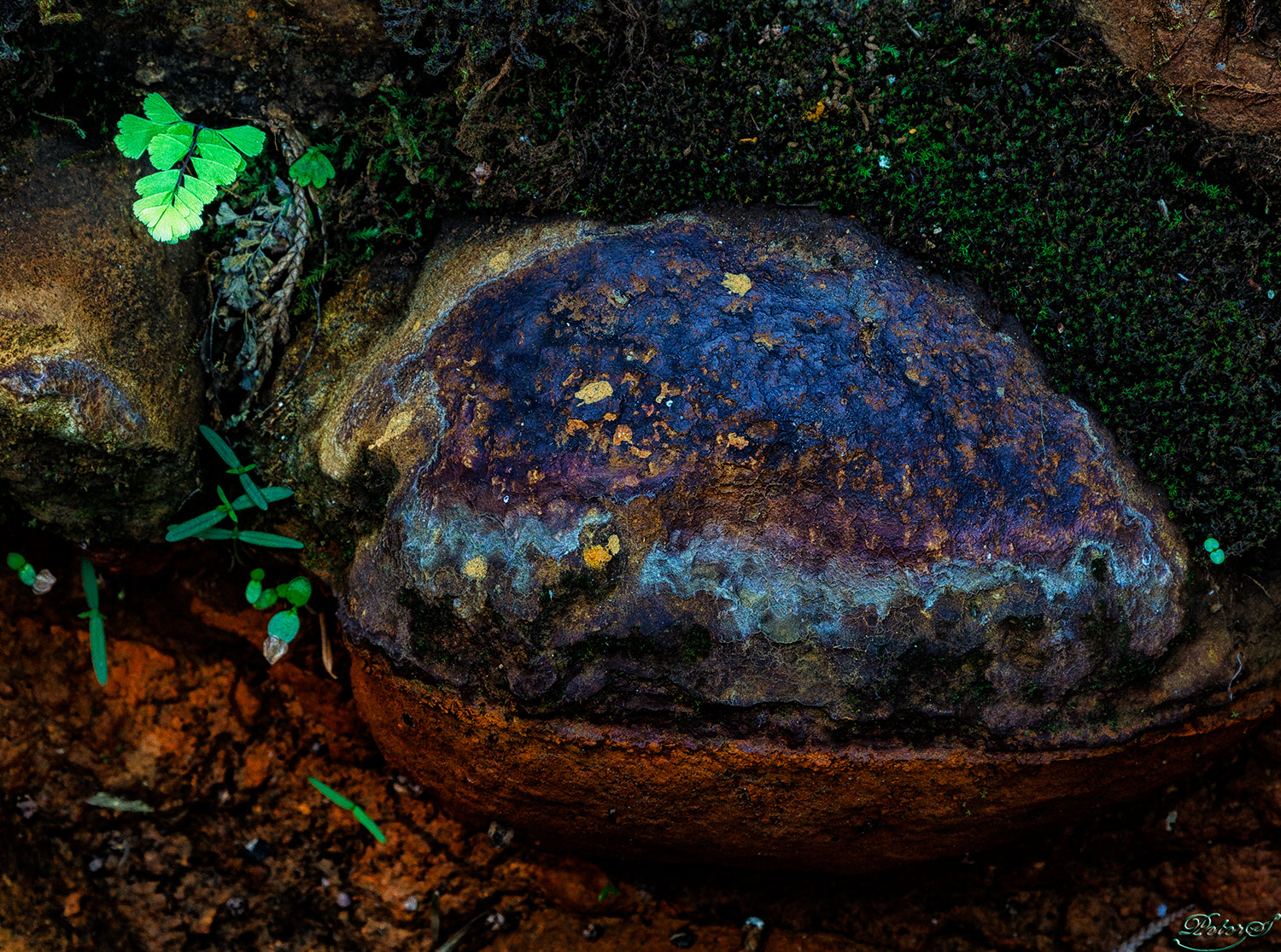 %_tempFileNameIMG_9999%