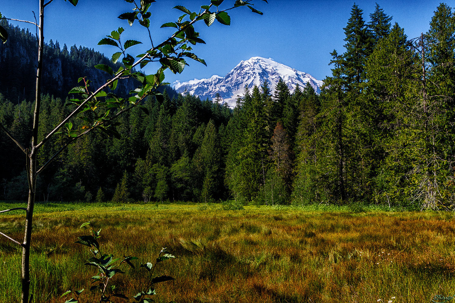 %_tempFileNameIMG_9999a%