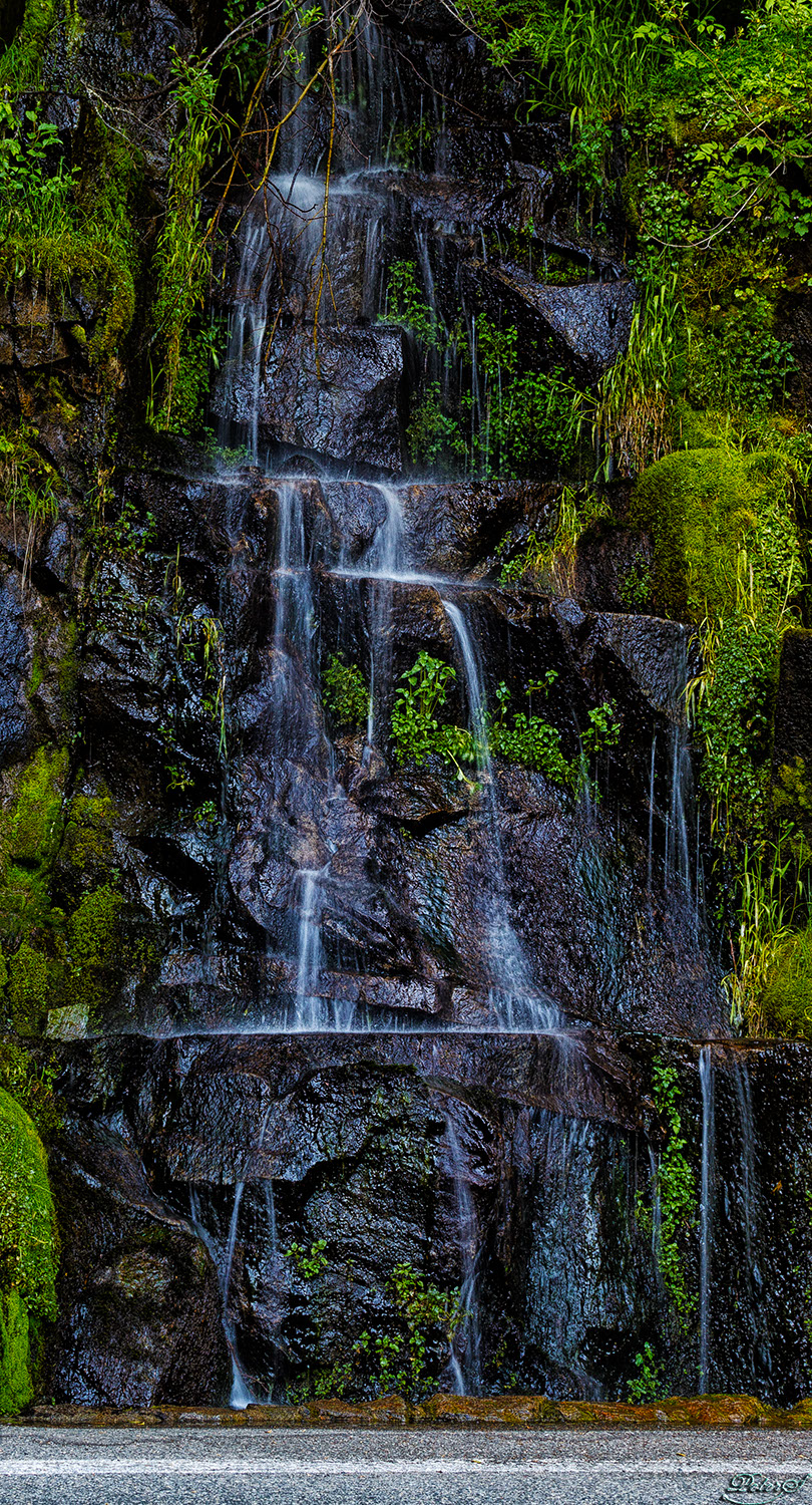 %_tempFileNameIMG_9999c%