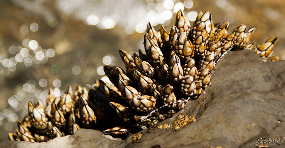 %_tempFileNameIMG_5368%