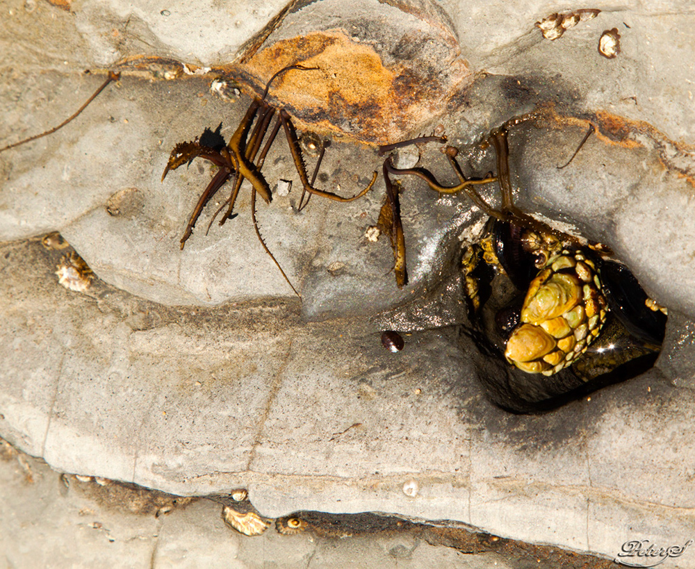 %_tempFileNameIMG_5375%