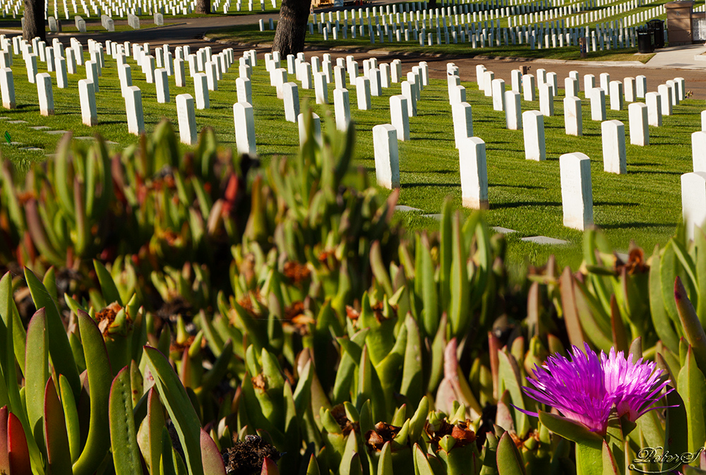 %_tempFileNameIMG_5394%