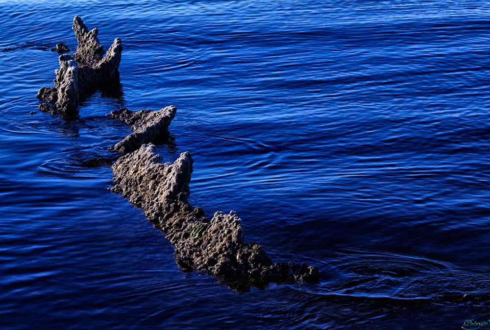 %_tempFileNameIMG_5877%