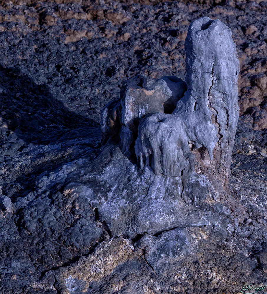 %_tempFileNameIMG_5892%