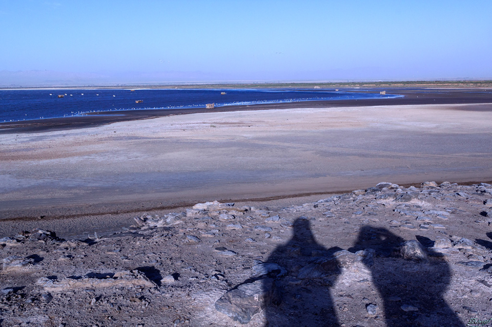 %_tempFileNameIMG_5894%