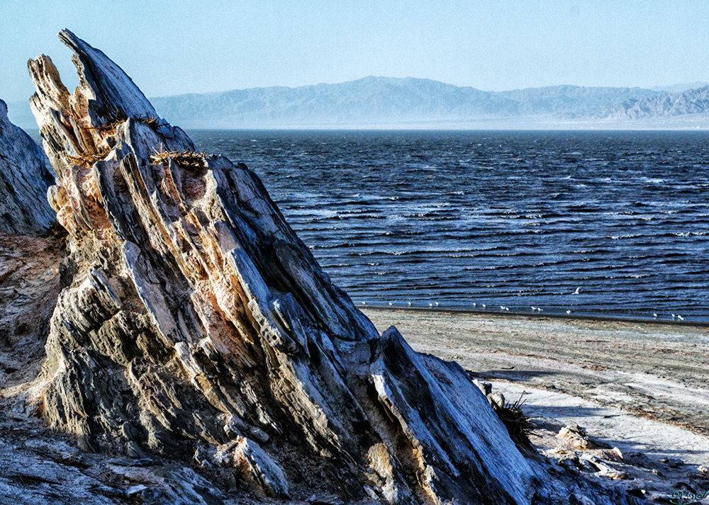 %_tempFileNameIMG_5895%