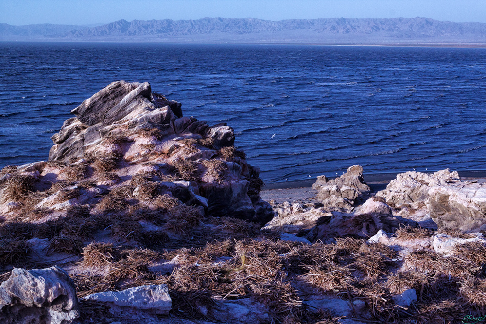 %_tempFileNameIMG_5902%