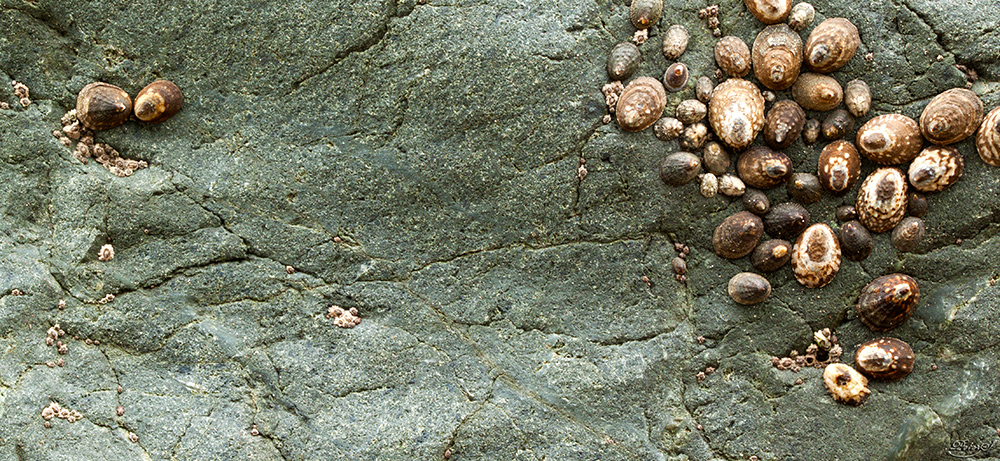 %_tempFileNameIMG_0253%