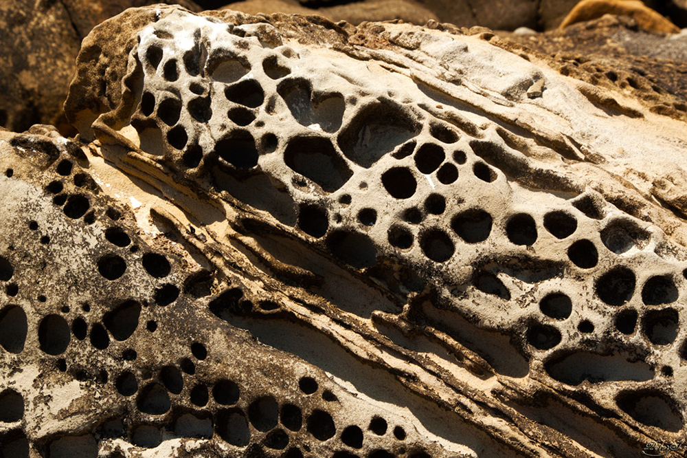 %_tempFileNameIMG_0279%