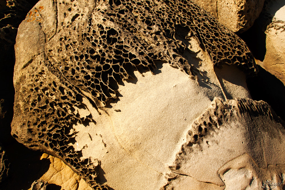 %_tempFileNameIMG_0382%