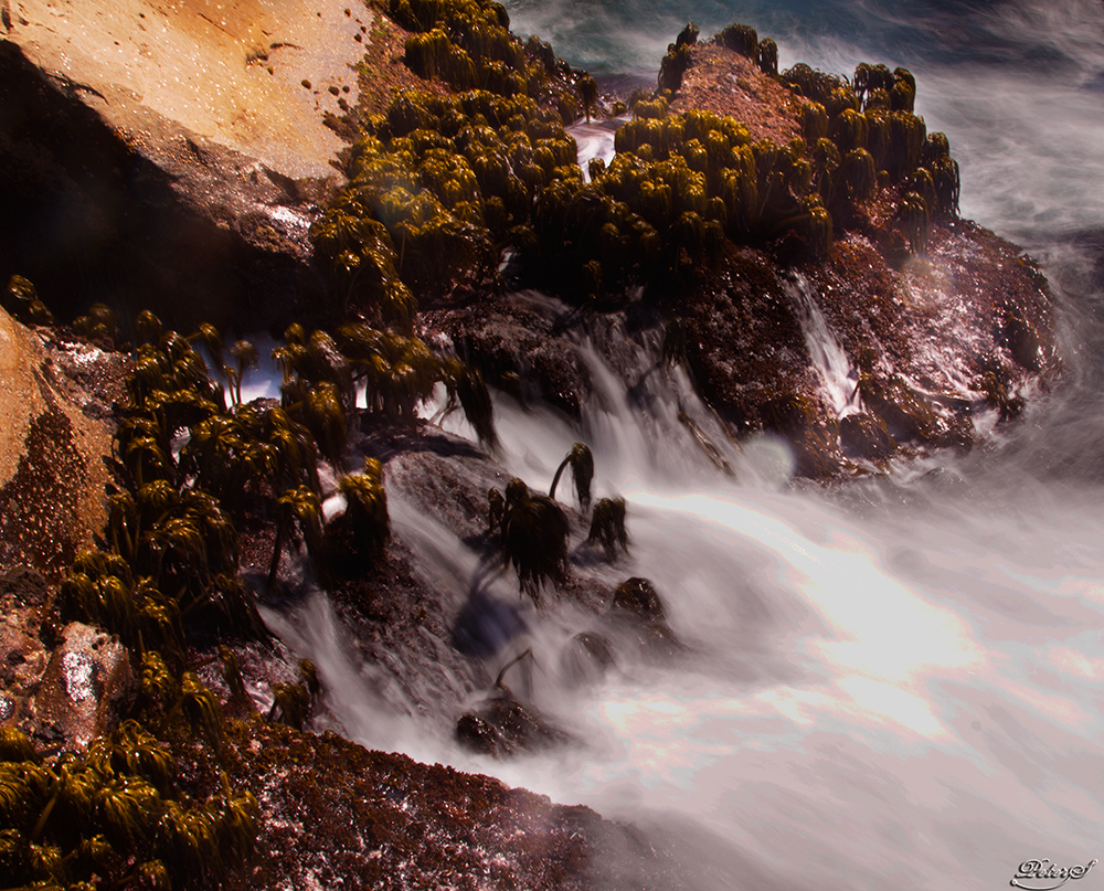 %_tempFileNameIMG_0384%