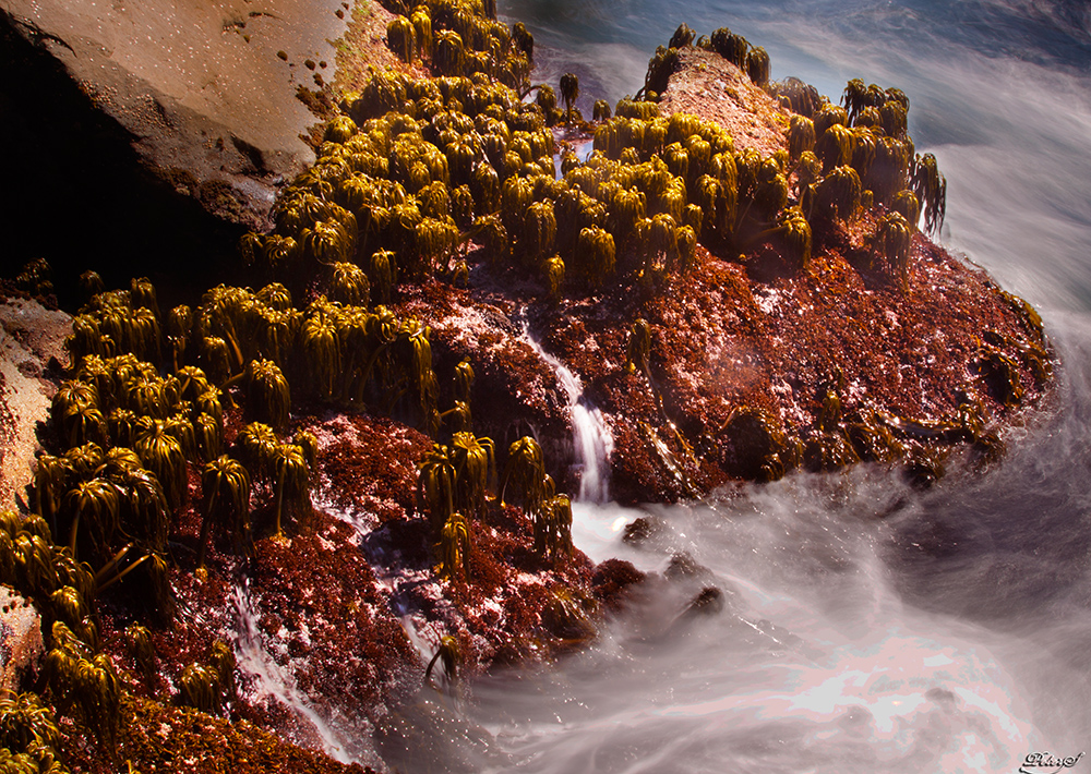 %_tempFileNameIMG_0385%