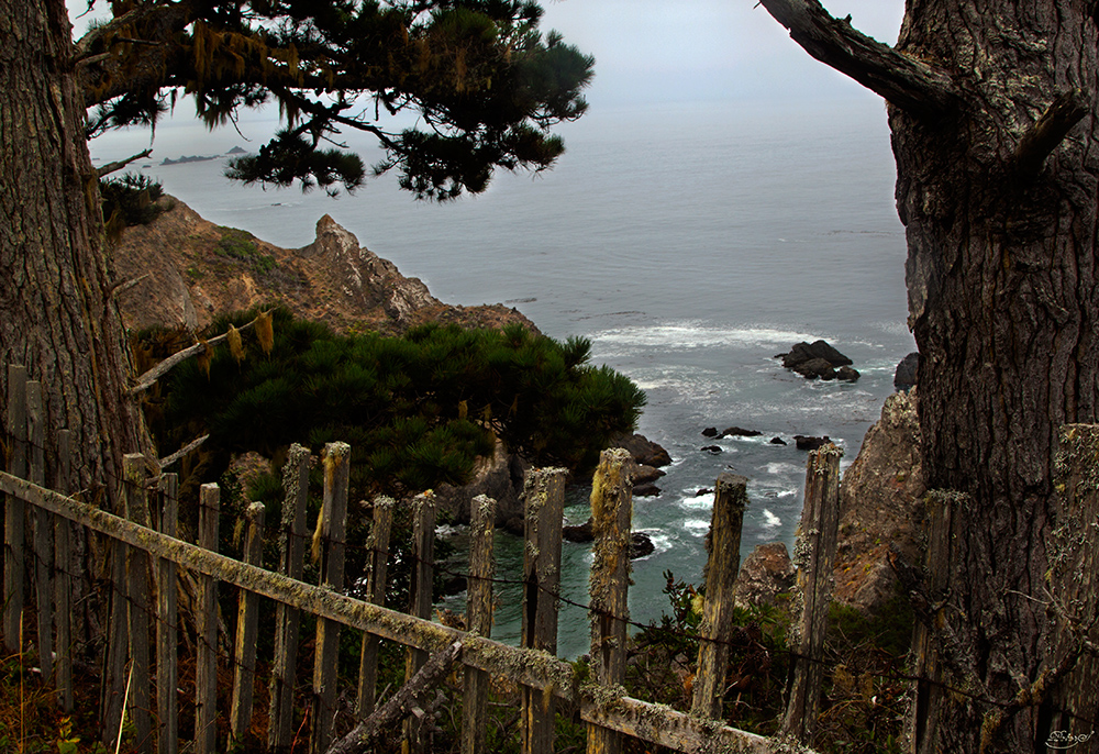 %_tempFileNameIMG_0406%