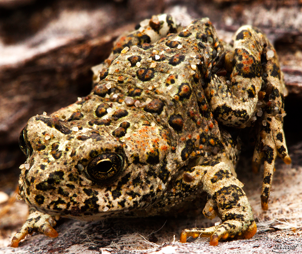 %_tempFileNameIMG_0415%