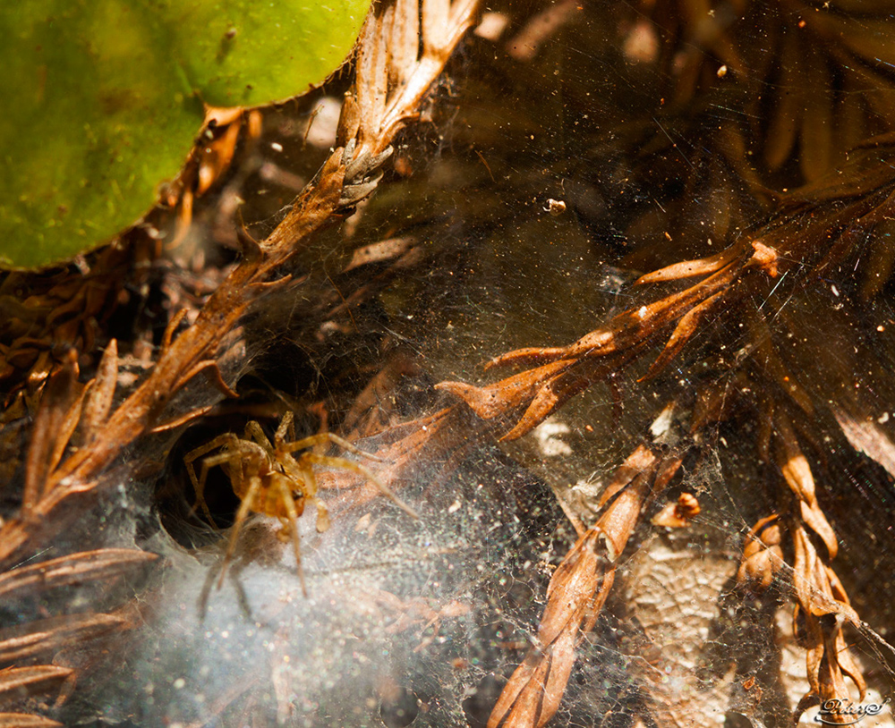 %_tempFileNameIMG_0455%