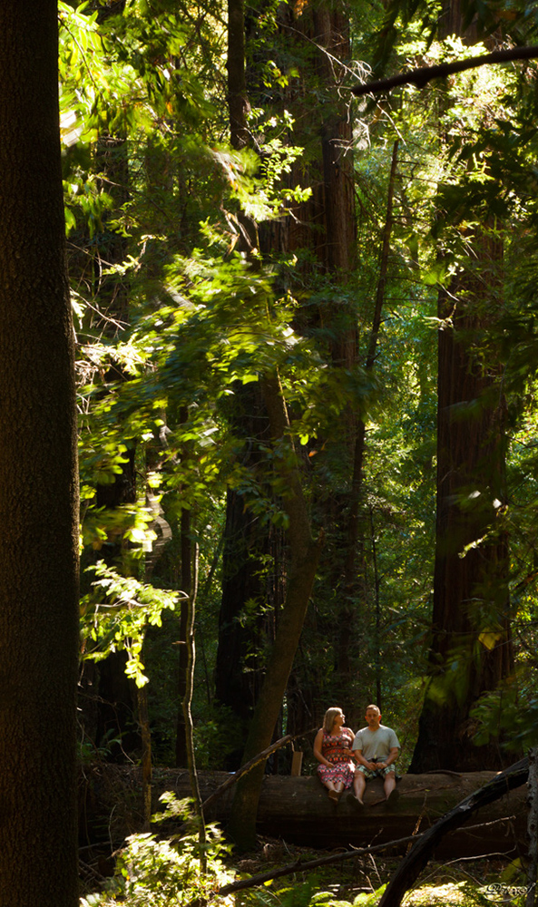 %_tempFileNameIMG_0470%