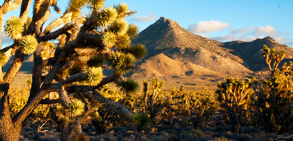 %_tempFileNameIMG_8467%