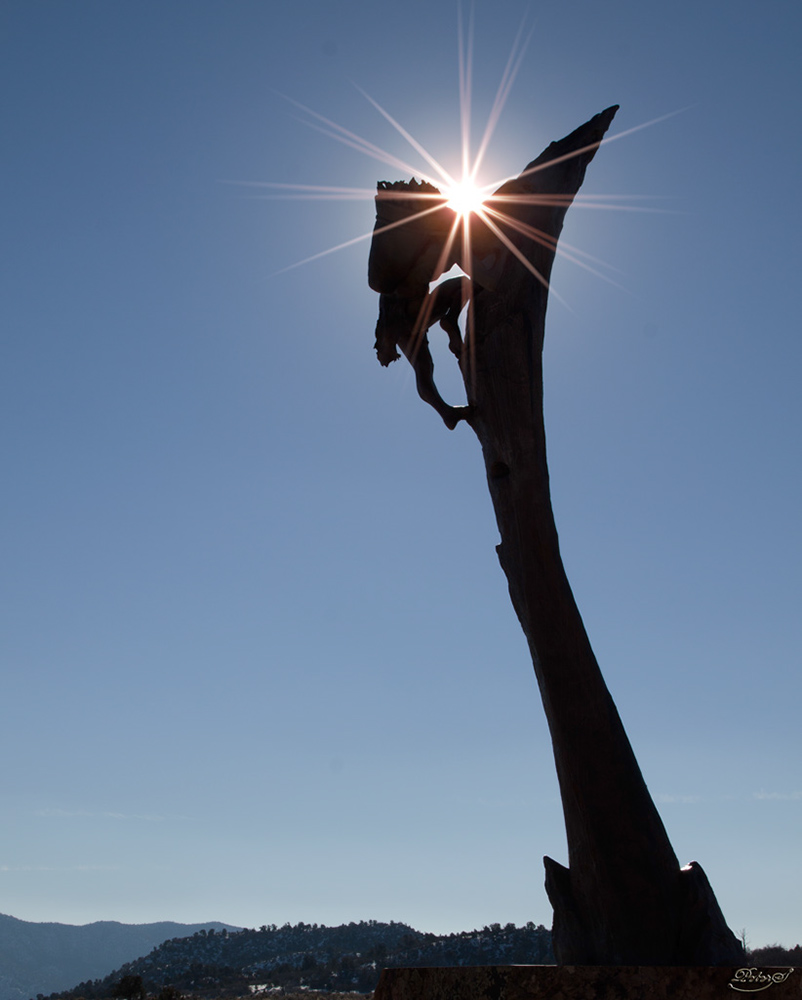 %_tempFileNameIMG_8549%