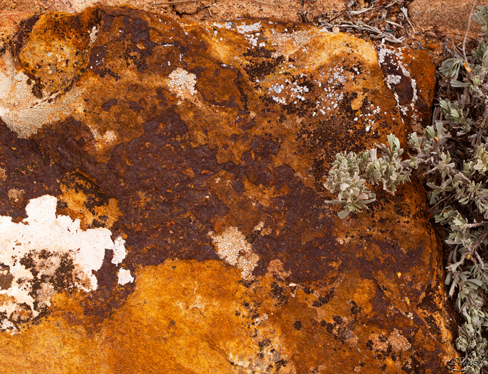 %_tempFileNameIMG_8615%