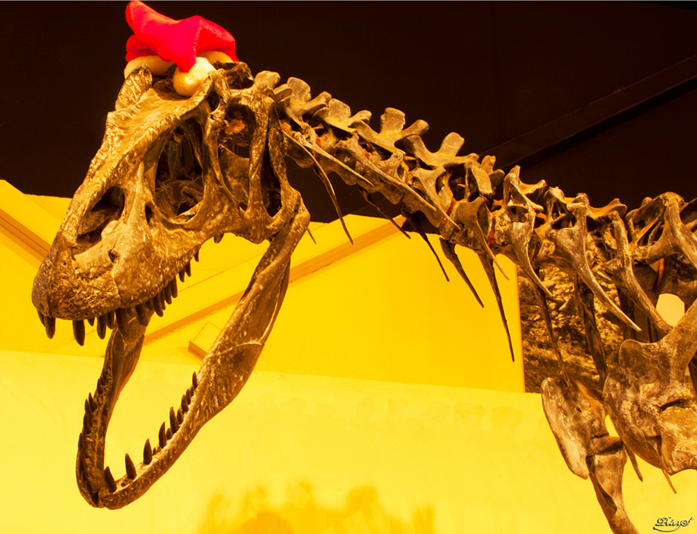 %_tempFileNameIMG_8624%