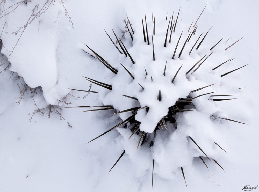 %_tempFileNameIMG_8628%